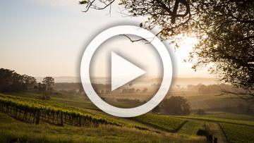 2025 Kia Tasman X-Pro Auto 4X4 MY26 Double Cab